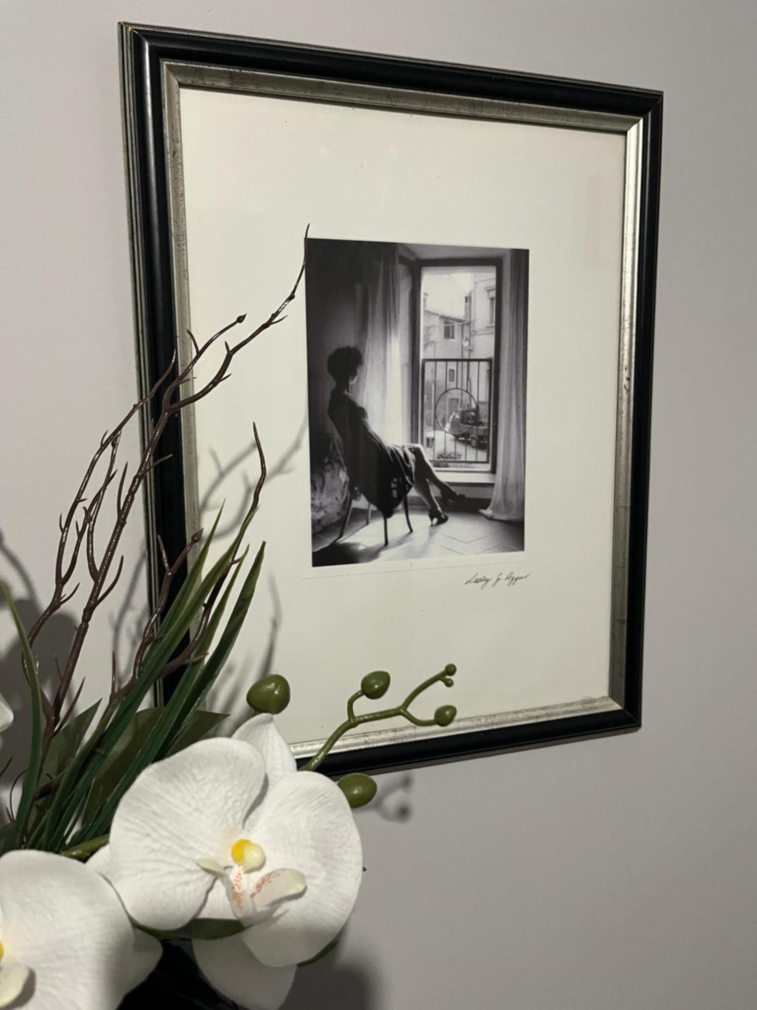 Apartamenty Luczkowskiego Z Widokiem Na Studnie 4 Chełm Exteriér fotografie